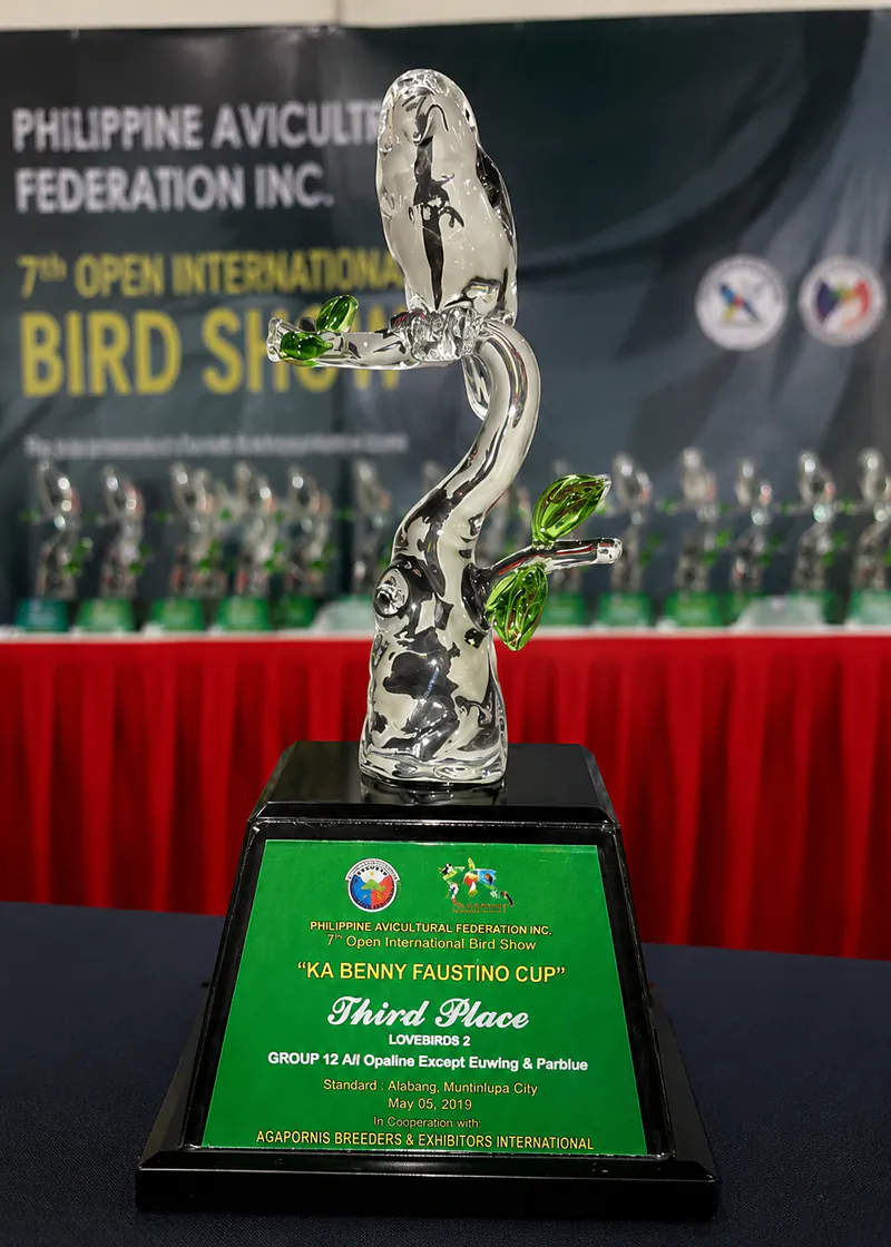 7th Open International Bird Show