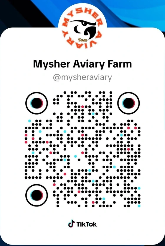 QR code for @mysheraviary on TikTok